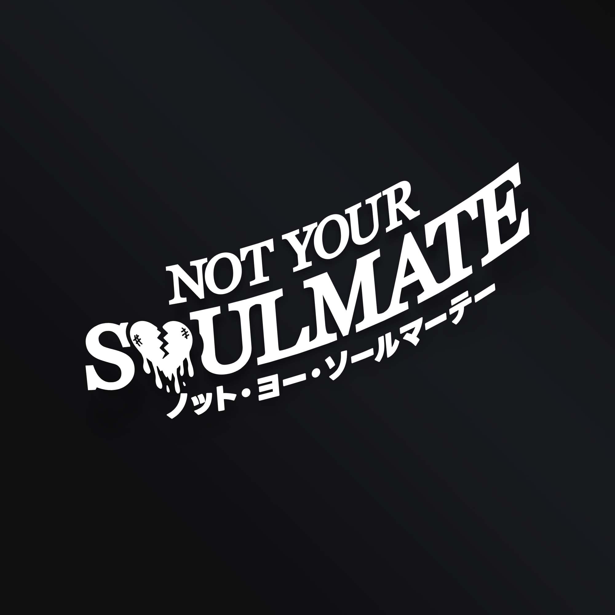 NOT YOUR SOULMATE STICKER